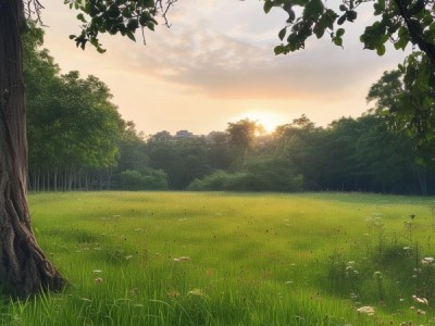 五泉山的酒店，风景与文化的完美结合